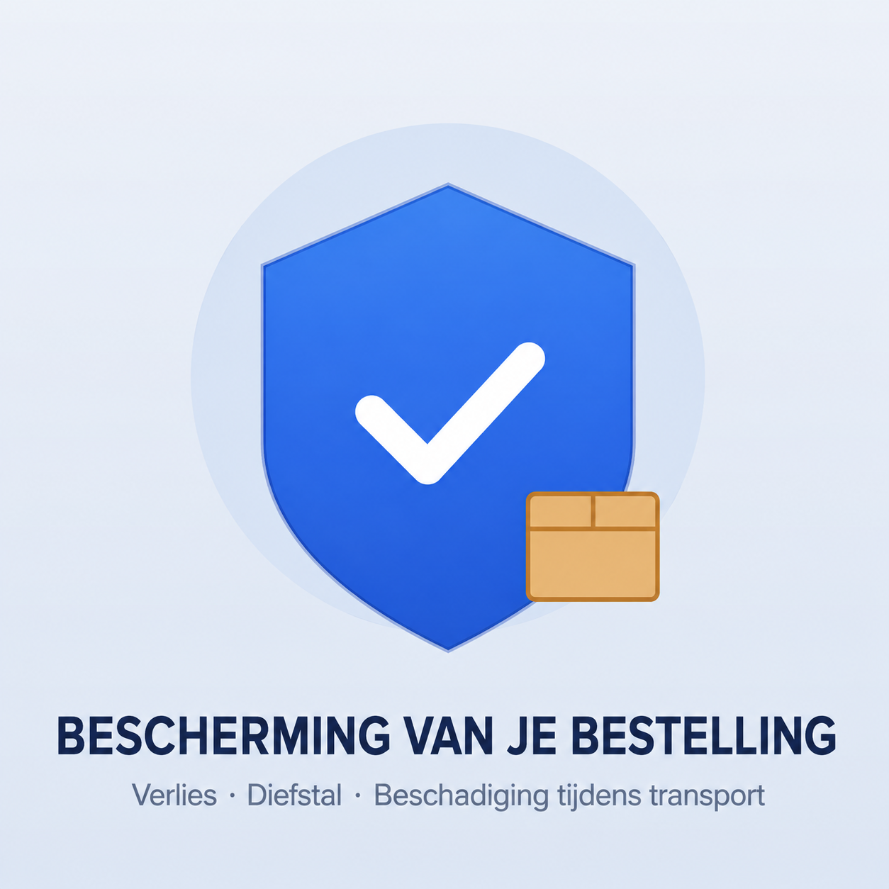 Verzekerde Verzending